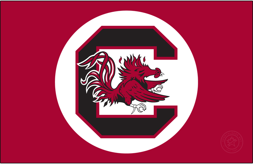 south_carolina_gamecocks_logo_secondary_19838669